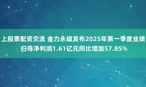上股票配资交流 金力永磁发布2025年第一季度业绩 归母净利润1.61亿元同比增加57.85%