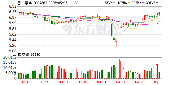 线上股票配资代理 鲁泰A：2024年年度股东大会决议公告