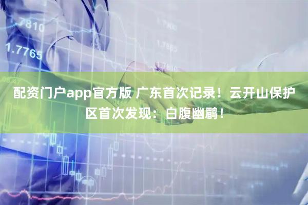 配资门户app官方版 广东首次记录！云开山保护区首次发现：白腹幽鹛！