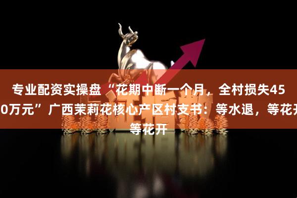 专业配资实操盘 “花期中断一个月，全村损失4500万元” 广西茉莉花核心产区村支书：等水退，等花开